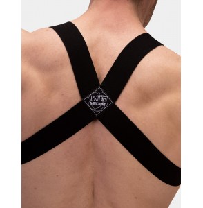 Harness Vacal