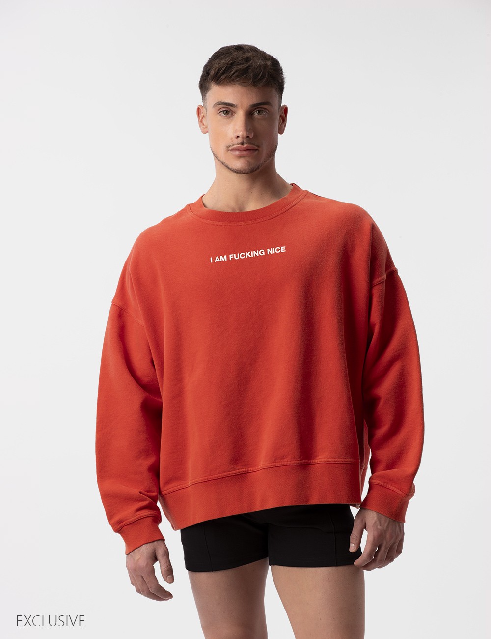 Sweatshirt I'M Fucking Nice...