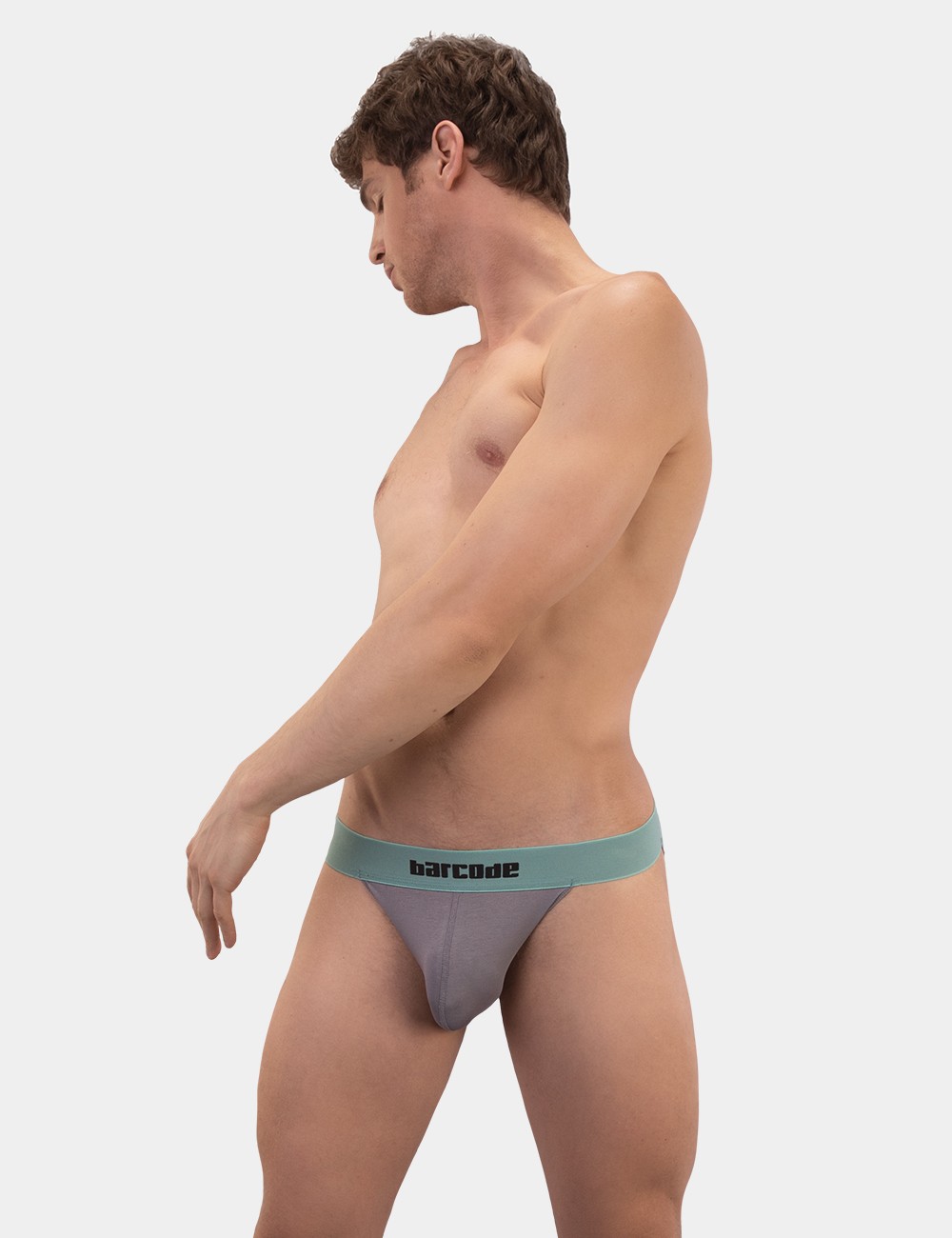 Basic Half Brief Giles -...