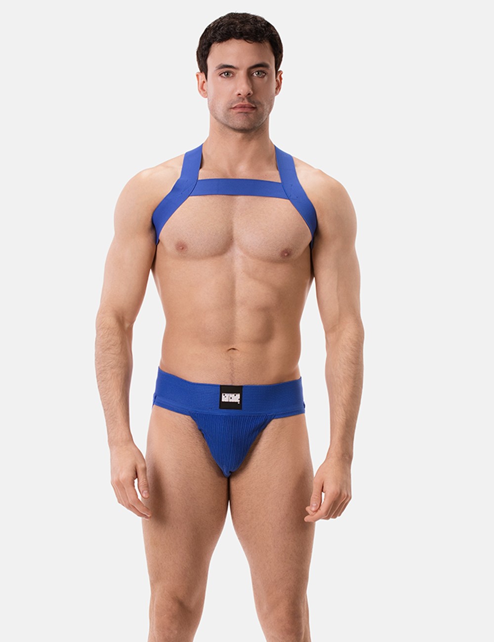 Harness Matt - Royal