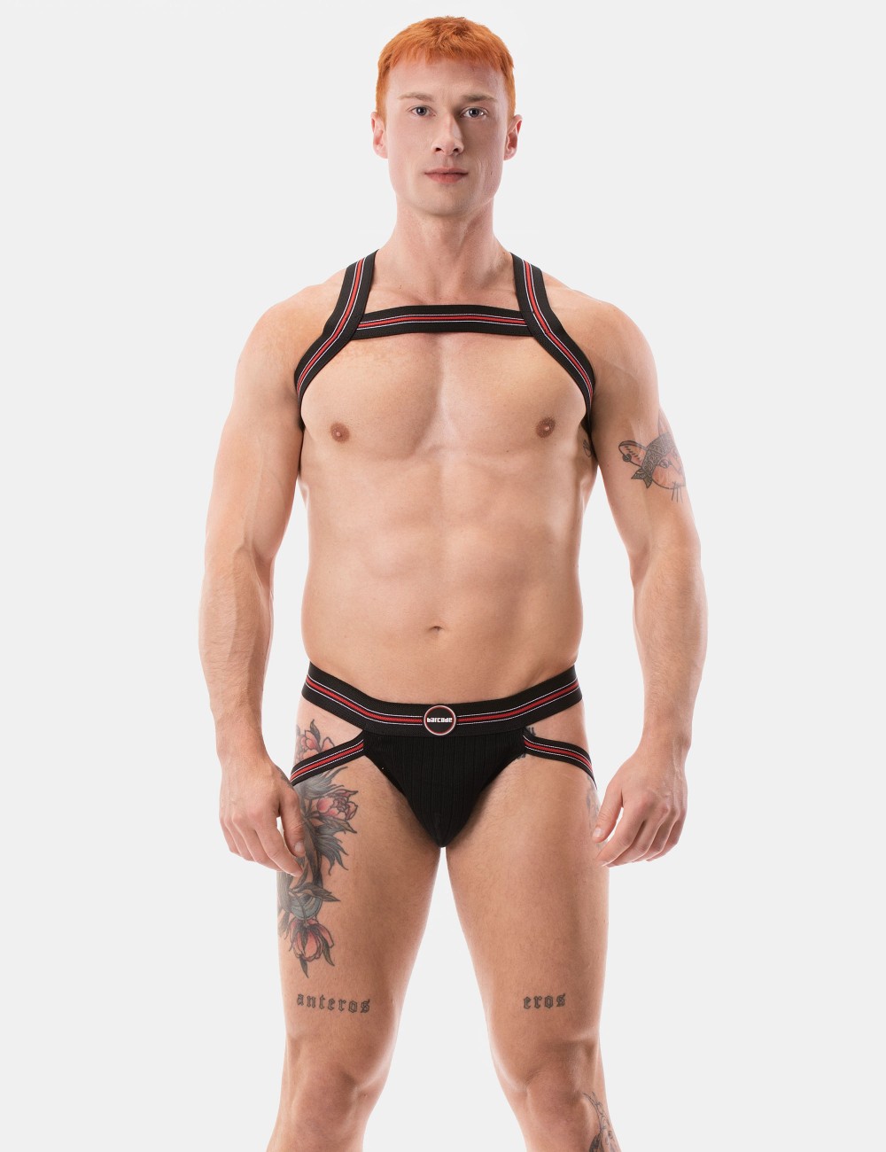 Harness Hapero -...