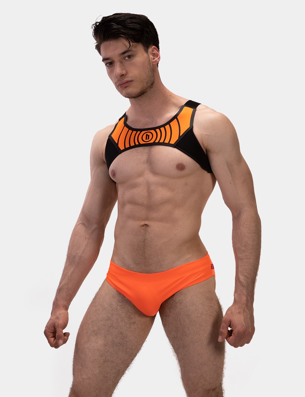 Harness Vacal -...