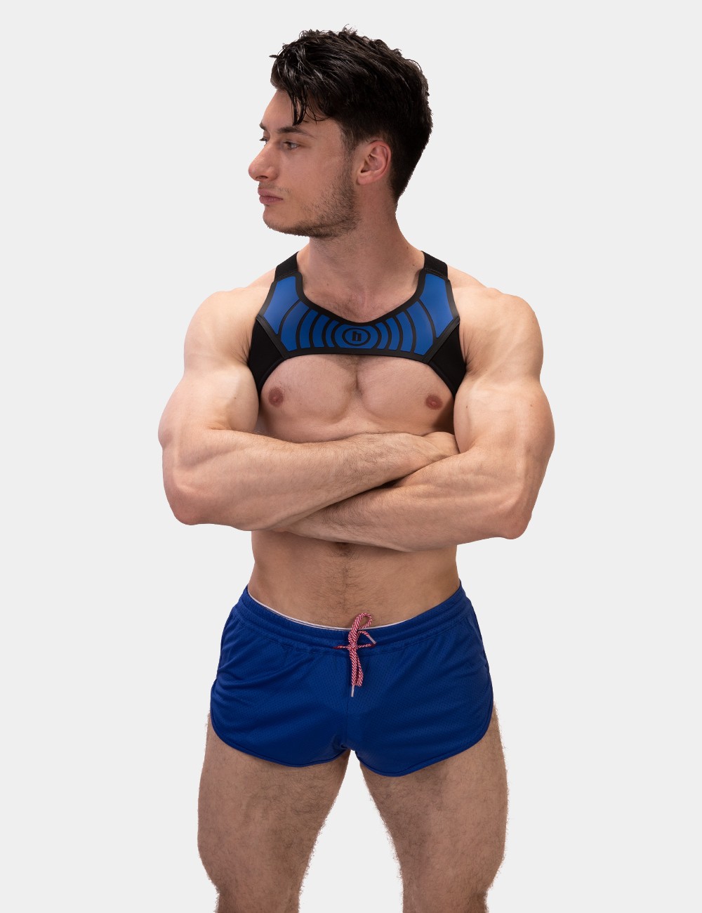 Harness Vacal - Black-Neonblue